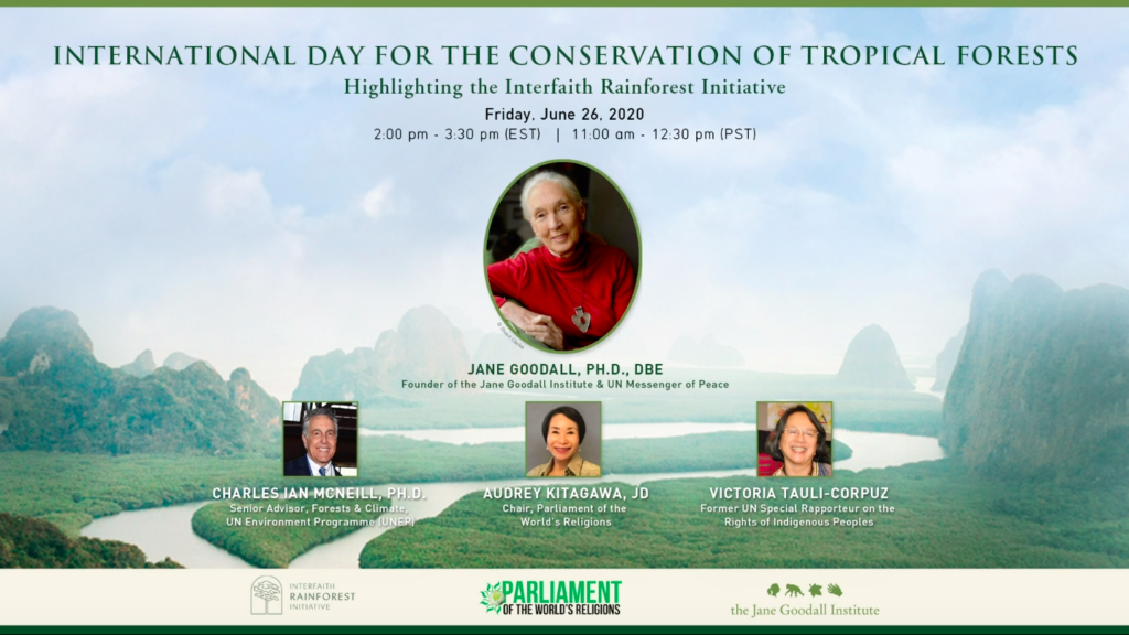 IRI - International Day for the Conservation of Tropical Forests