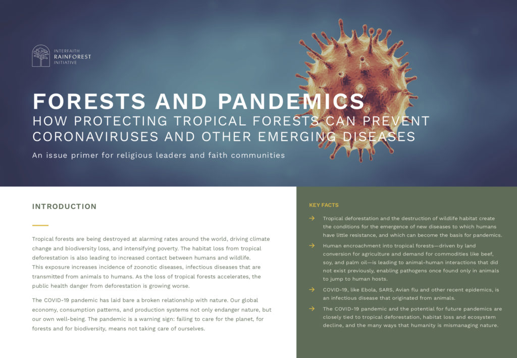 Interfaith Forests and Pandemics Primer Cover
