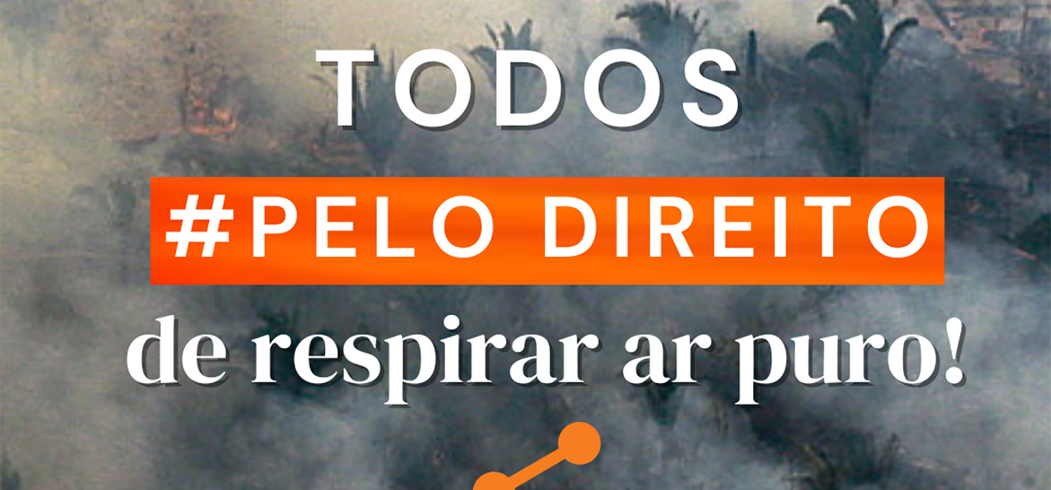 IRI Brazil Launches Campaign To Reduce Wildfires And Deforestation In ...