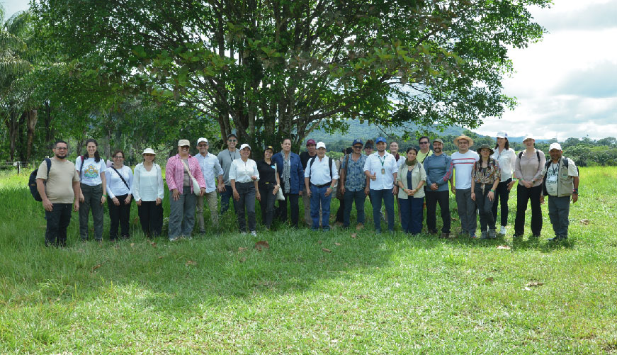 More than 80 people participated in the IRI Colombia Scientific Immersion Day.