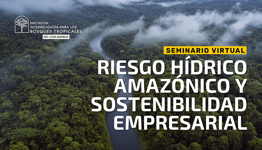 Webinar Riesgo hídrico amazónico apertura