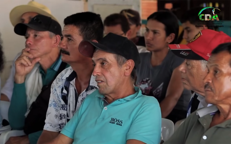 CDA Socialización 2